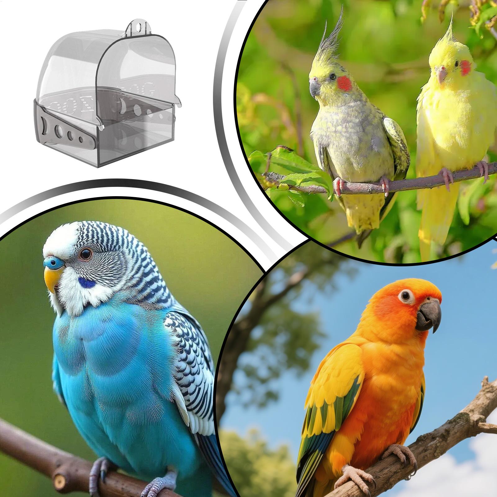 Parakeet Bath Hangable Detacha - Home Bath ulasan dan harga